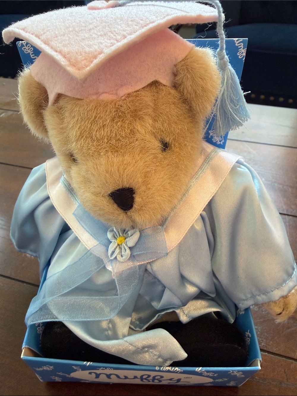 Graduation Muffy Plush Teddy Bear in Light Blue Robe and Pink Cap - NABCO NIB